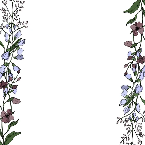 Vector Wildflower flores botânicas florais. Tinta gravada a preto e branco. Quadro borda ornamento quadrado . —  Vetores de Stock