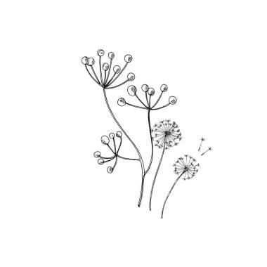 Vektör Yaban Çiçekleri çiçek botanik çiçekleri. Siyah beyaz işlemeli mürekkep sanatı. Ayrı bir çiçek çizimi ögesi.