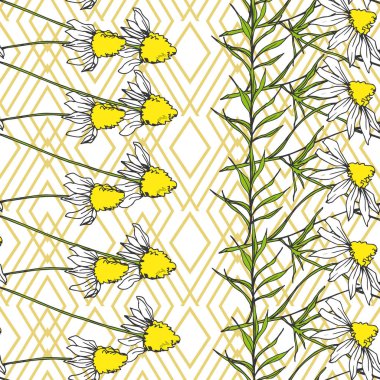 Vektör Yaban Çiçekleri çiçek botanik çiçekleri. Siyah beyaz işlemeli mürekkep sanatı. Kusursuz arkaplan deseni.