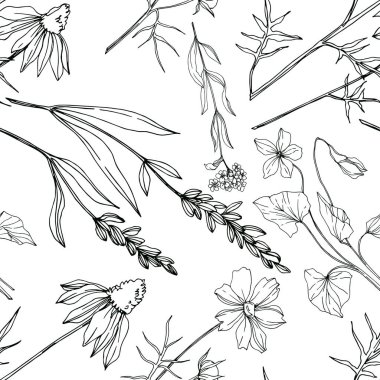 Vektör kır çiçeği çiçekli botanik çiçekleri. Siyah beyaz işlemeli mürekkep sanatı. Kusursuz arkaplan deseni.