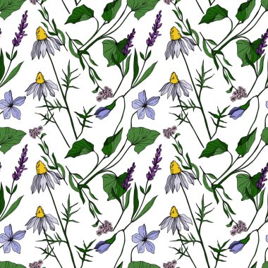 Vector wildflower floral botanical flowers. Black and white engraved ink art. Seamless background pattern. clipart