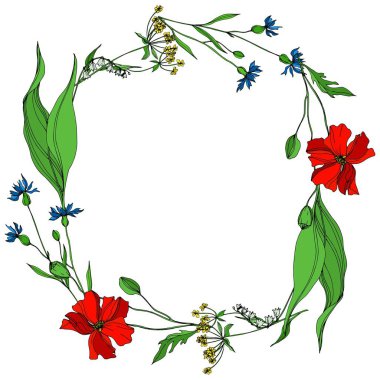 Vektör Yaban Çiçekleri çiçek botanik çiçekleri. Siyah beyaz işlemeli mürekkep sanatı. Çerçeve kenar süsü kare.