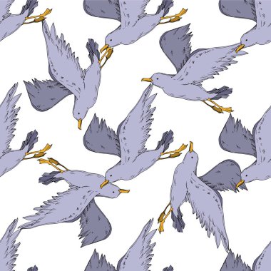 Vector Sky martısı izole edildi. Siyah beyaz işlemeli mürekkep sanatı. Kusursuz arkaplan deseni.