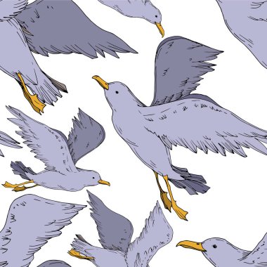 Vector Sky martısı izole edildi. Siyah beyaz işlemeli mürekkep sanatı. Kusursuz arkaplan deseni.
