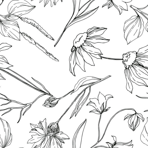 Векторные дикие цветы цветочные ботанические цветы. Черно-белый рисунок чернил. Бесшовный рисунок фона
.