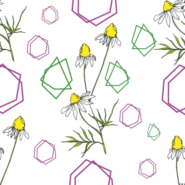 Vector Wildflowers flores botánicas florales. Tinta grabada en blanco y negro. Patrón de fondo sin costuras . — Vector de stock