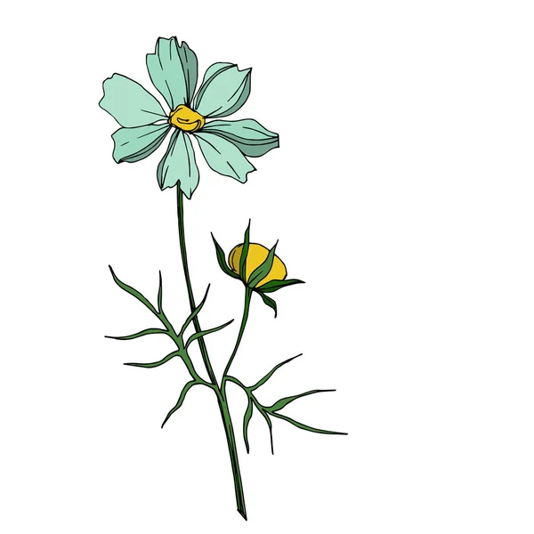 ベクトル野花植物花。黒と白の刻まインクアート。孤立した野の花のイラスト要素. — ストックベクタ
