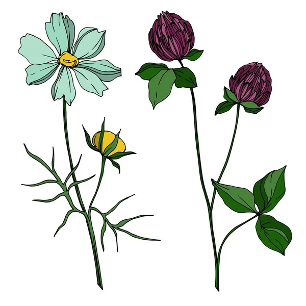 Vector flores botânicas florais wildflower. Tinta gravada a preto e branco. Elemento de ilustração de flores silvestres isoladas . — Vetor de Stock