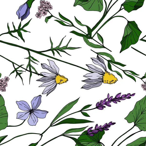 Vector Wildflower flores botánicas florales. Tinta grabada en blanco y negro. Patrón de fondo sin costuras . — Vector de stock