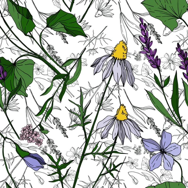Διάνυσμα αγριολούλουδα βοτανικά λουλούδια. Μαύρο και άσπρο χαραγμένο μελάνι τέχνης. Χωρίς ραφή μοτίβο φόντου. — Διανυσματικό Αρχείο