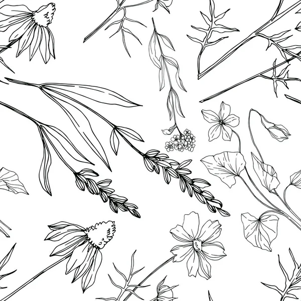 Vektorwildblume Blumen botanischen Blumen. Schwarz-weiß gestochene Tuschekunst. nahtloses Hintergrundmuster. — Stockvektor