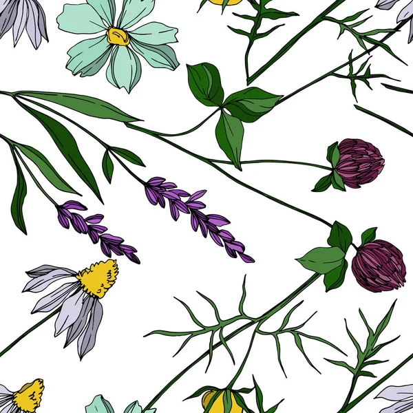 Vector wilde bloem bloemen botanische bloemen. Zwart-wit gegraveerde inktkunst. Naadloze achtergrond patroon. — Stockvector