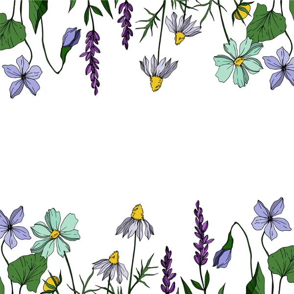 Vektorwildblume Blumen botanischen Blumen. Schwarz-weiß gestochene Tuschekunst. Rahmen Rand Ornament Quadrat. — Stockvektor