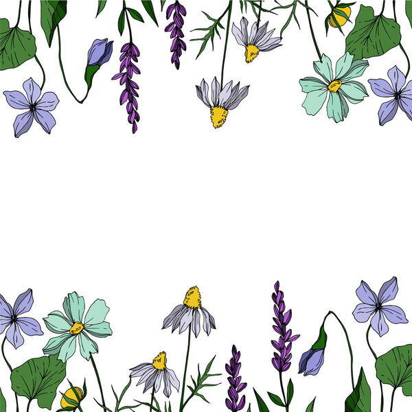 Vector wildflower floral botanical flowers. Black and white engraved ink art. Frame border ornament square.