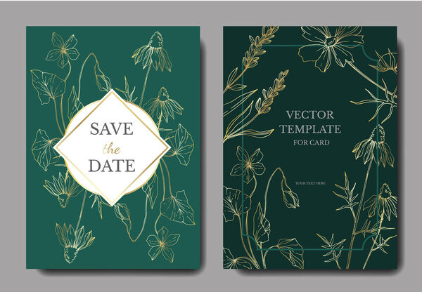 Векторные полевые цветочные ботанические цветы. Гравировка чернил. Свадебная карточка цветочные декоративные границы
.