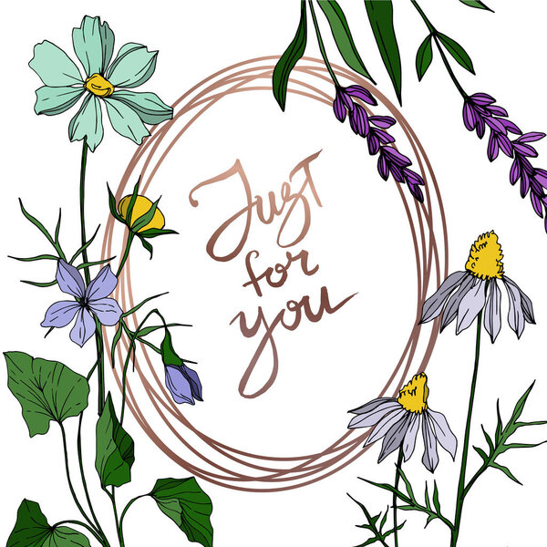 Векторные цветочные ботанические цветы. Черно-белый рисунок чернил. Граничный орнамент
.