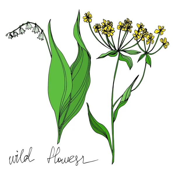 Vektör Yaban Çiçekleri çiçek botanik çiçekleri. Siyah beyaz işlemeli mürekkep sanatı. Ayrı çiçek illüstrasyon ögesi. — Stok Vektör