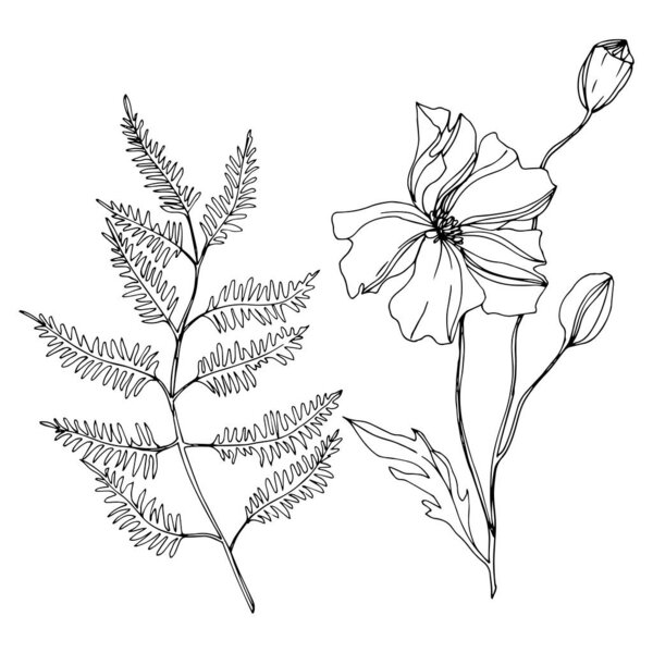 Vector Wildflowers floral botanical flowers. Black and white engraved ink art. Isolated flowers illustration element.