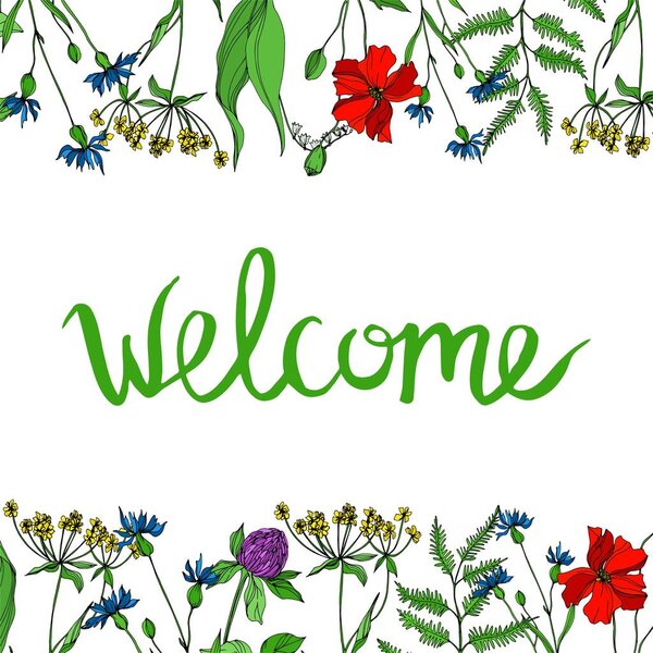 Векторные дикие цветы цветочные ботанические цветы. Черно-белый рисунок чернил. Граничный орнамент
.