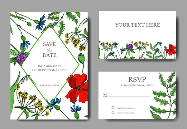 Vektor Wildflowers botanikai virágok. Fekete-fehér vésett tinta művészet. Esküvői háttér kártya dekoratív határ. — Stock Vector