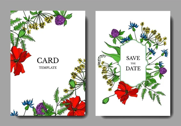Vector Flores silvestres flores botánicas. Tinta grabada en blanco y negro. Boda tarjeta de fondo borde decorativo . — Vector de stock