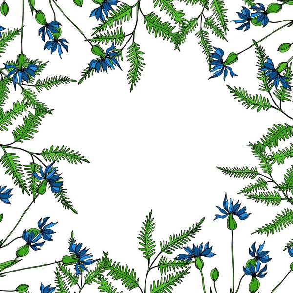 Vector Wildflowers floral botanical flowers. Black and white engraved ink art. Frame border ornament square.