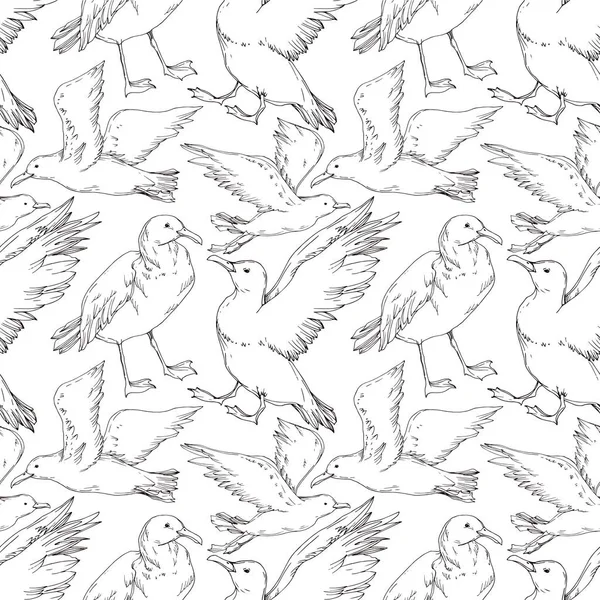 Vector Sky bird seagull isolated. Black and white engraved ink art. Seamless background pattern.