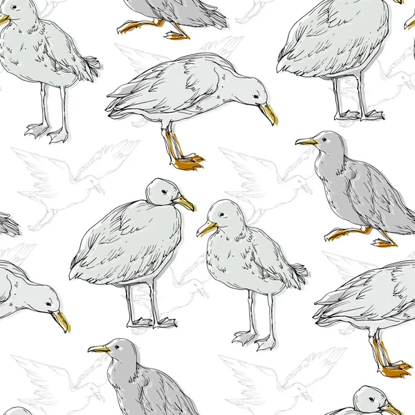 Vector Sky Bird Seagull i ett djurliv isolerat. Svart och vit graverad bläck konst. Sömlöst bakgrundsmönster. — Stock vektor