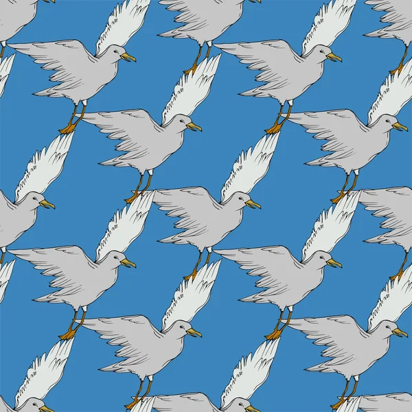 Vector Oiseau céleste mouette dans une faune isolée. Encre gravée en noir et blanc. Modèle de fond sans couture . — Image vectorielle