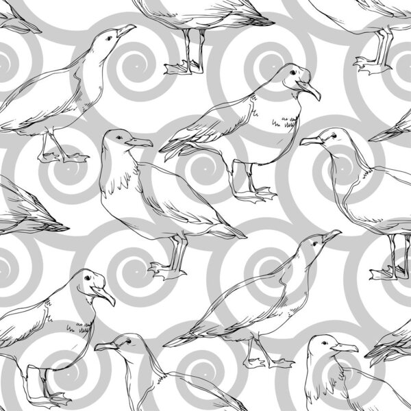 Vector Sky bird seagull in a wildlife. Black and white engraved ink art. Seamless background pattern.
