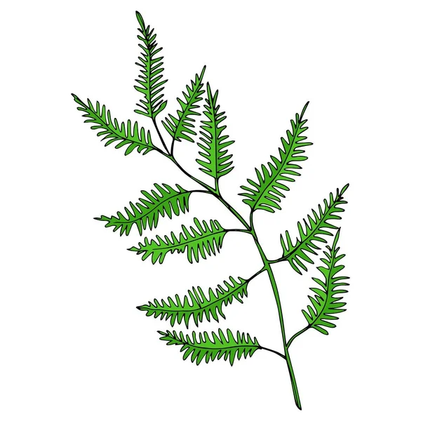 Vector Wildflowers floral botanical flowers. Black and white engraved ink art. Isolated flowers illustration element. Royalty Free Stock Illustrations