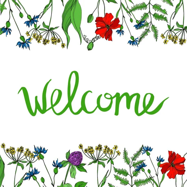 Vector Wildflowers floral botanical flowers. Black and white engraved ink art. Frame border ornament square. Stock Illustration