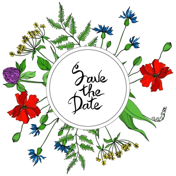 Vector Wildflowers floral botanical flowers. Black and white engraved ink art. Frame border ornament square. Vector Graphics