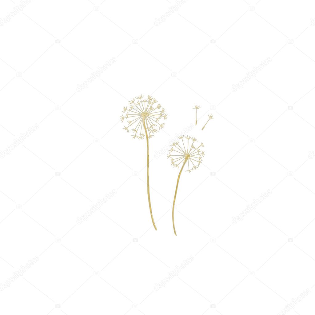 Vector Wildflowers floral botanical flowers. Black and white engraved ink art. Isolated flower illustration element.