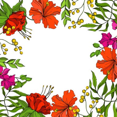 Vektör Tropikal Botanik Çiçeği. Egzotik tropikal Hawaii yazı. İşlenmiş mürekkep sanatı. Çerçeve kenar süsü kare.