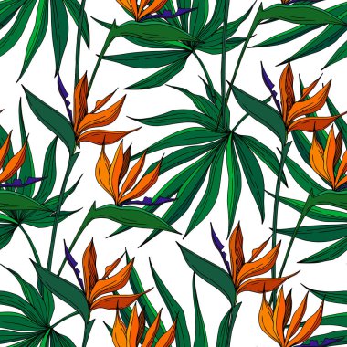 Vector Tropical floral botanical flowers. Black and white engraved ink art. Seamless background pattern. clipart