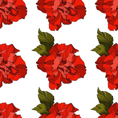 Vektör gül çiçekli botanik çiçekleri. Siyah beyaz işlemeli mürekkep sanatı. Kusursuz arkaplan deseni.