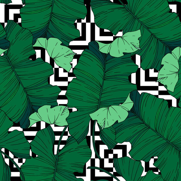 Vector Palm beach tree leaves jungle botanical. Black and white engraved ink art. Seamless background pattern.