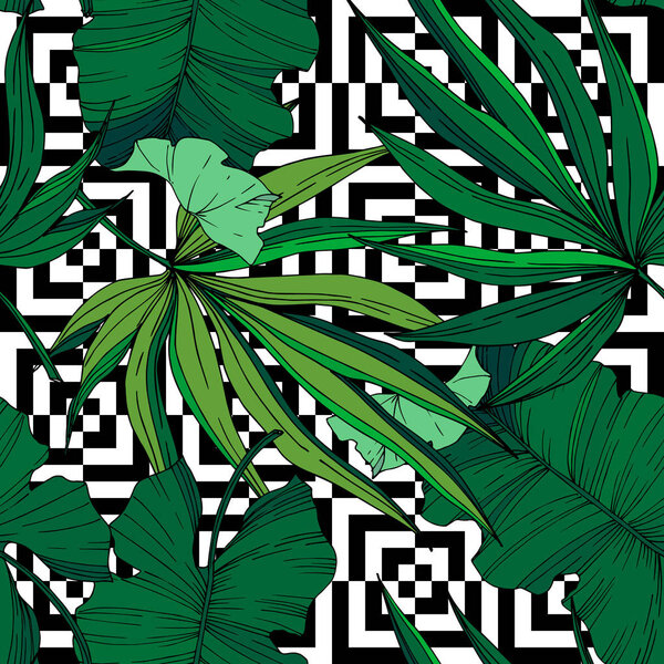 Vector Palm beach tree leaves jungle botanical. Black and white engraved ink art. Seamless background pattern.