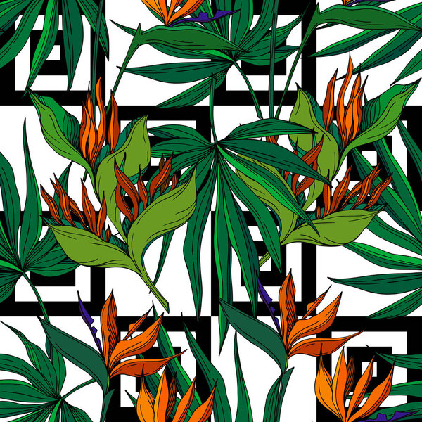 Vector Tropical floral botanical flowers. Black and white engraved ink art. Seamless background pattern.