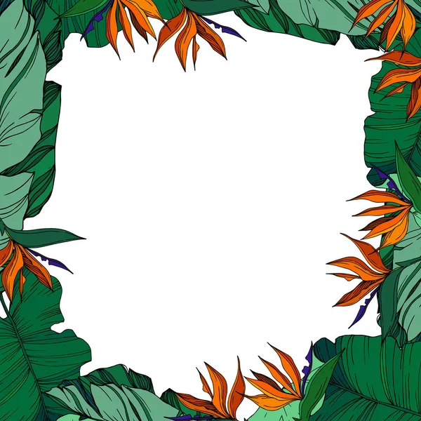 Vector Tropische bloemen botanische bloemen. Zwart-wit gegraveerde inktkunst. Frame rand ornament vierkant. — Stockvector