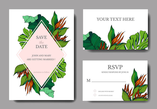 Vector Tropical floral botanical flowers. Engraved ink art. Wedding background card decorative border.