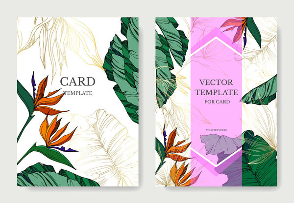 Vector Tropical floral botanical flowers. Engraved ink art. Wedding background card decorative border.