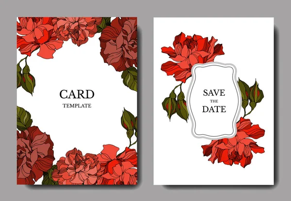 Vector Rose flores botánicas florales. Tinta grabada en blanco y negro. Boda tarjeta de fondo borde decorativo . — Vector de stock
