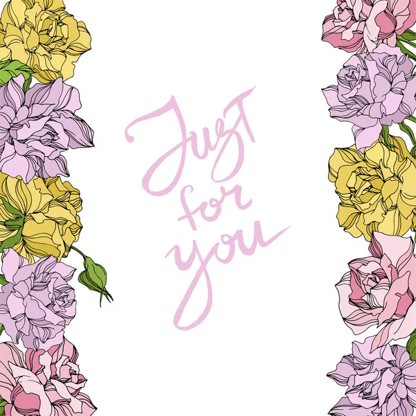 Vektör Gül çiçekli botanik çiçekleri. Vahşi bahar yaprağı kır çiçeği. İşlenmiş mürekkep sanatı. Çerçeve kenar süsü kare.