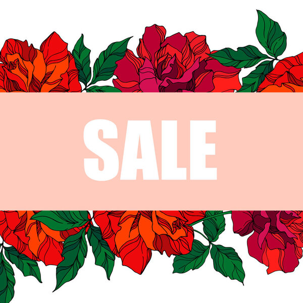 Цветочные ботанические цветы векторной розы. Зеленое и красное окрасили тушью. Граничный орнамент
.