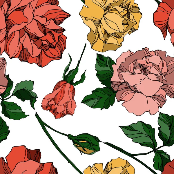Vector Roses flores botánicas florales. Tinta grabada en blanco y negro. Patrón de fondo sin costuras . — Vector de stock