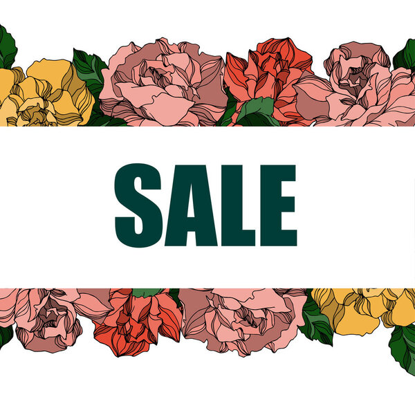 Векторные розы цветочные ботанические цветы. Черно-белый рисунок чернил. Граничный орнамент
.