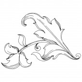 Vektorový barokní monogram květinové ozdoby. Černobílý rytý inkoust. Izolované ozdoby ilustrační prvek.