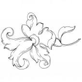 Vektor barockes Monogramm florales Ornament. Schwarz-weiß gestochene Tuschekunst. isolierte Ornamente Illustrationselement.